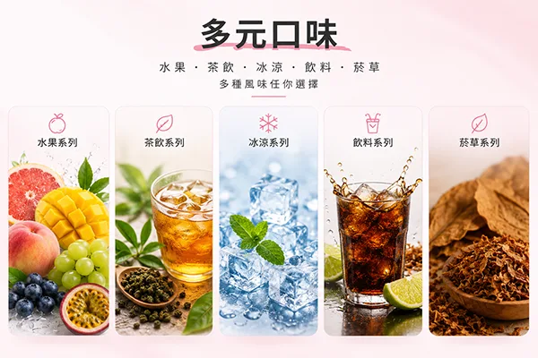 DR SALT 鹽博士 多元口味